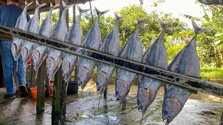 CARA MASAK IKAN BAKAR DENGAN CARA PRAKTIS DIJAMIN ENAK BANGET [upl. by Huggins]