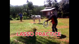 lasso practice throwing [upl. by Haslam824]