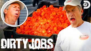 World’s Hottest Pepper Mike Rowe Battles Carolina Reaper Seeds  Dirty Jobs [upl. by Rosalind]