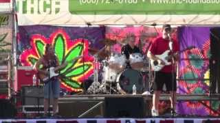 Seattle Hempfest 2013 The Toyes  Smoke Two Joints [upl. by Zerat]