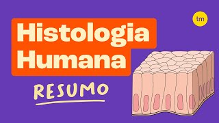 HISTOLOGIA  Os Tecidos do Corpo Humano [upl. by Ecienal]