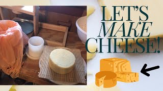 Kitchen fresh Monterey Jack Cheese [upl. by Anidal]