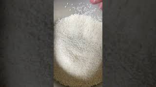 Ghee rice in rice cooker😋 cooking shortsonyoutube food cookingshorts shorts gheerice easy [upl. by Malvina]