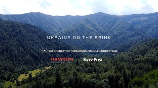 Ukraine on the Brink Deforestation Threatens Fragile Ecosystems [upl. by Wilser]