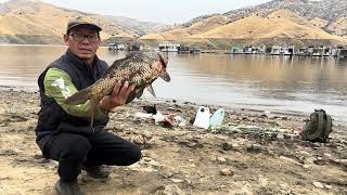 82424 caught 2 carp at lake kaweah [upl. by Werd441]