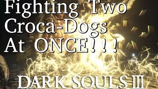 Fighting Two CrocaDogs at ONCE Sulyvahns Beasts Dark Souls 3 [upl. by Karyl797]