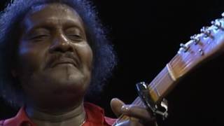 Albert Collins  quotThe Things That I Used To Doquot Live from Austin TX [upl. by Adelheid]