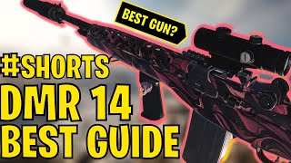 BEST DMR 14 Guide  Warzone shorts [upl. by Dawkins766]