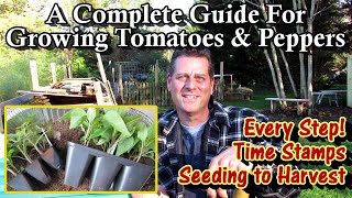 A Complete Guide for Growing Tomatoes amp Peppers  Seed to Harvest Every StepTable of Contents [upl. by Bainter]