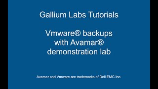 Vmware backups with Avamar [upl. by Arhez719]