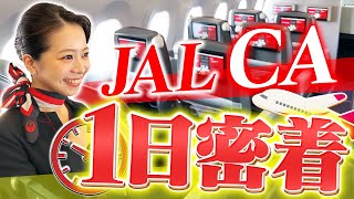 JALのCAに1日密着！普段は見られない裏側が明らかに… [upl. by Rudyard]