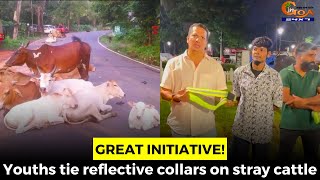 GreatInitiative Youths tie reflective collars on stray cattle [upl. by Attenal154]