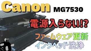 【ジャンク】Canon プリンター MG7530 電源入らないファームウェア更新とインク詰まり時のヘッド洗浄 [upl. by Posner947]