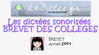 Dictée de brevet des collèges 2014  dictée annales diplôme national brevet DNB [upl. by Ainoet]