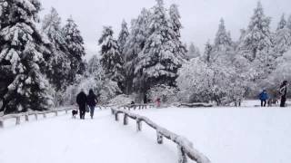 Snow fall in schmitten Germany [upl. by Balac]