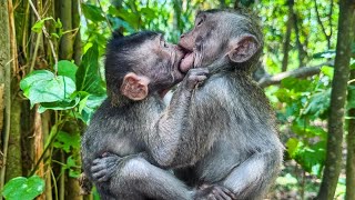 Bali 2024  Tegalalang Rice Terrace  Tirta Gangga  Monkey Forest [upl. by Rawde]