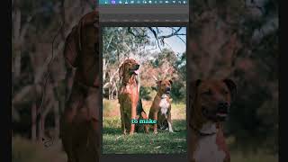 2 NEW AI Powered Ways to Remove Objects in Photoshop shorts [upl. by Hands]