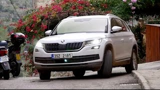 Škoda Kodiaq 14 TSI 4x4 [upl. by Schoof]