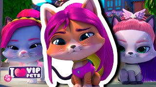 😻 Las GATAS al PODER 😼 VIP PETS 🌈 CAPÍTULOS COMPLETOS 💕 DIBUJOS ANIMADOS para NIÑOS en ESPAÑOL [upl. by Cari]