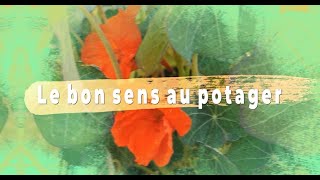 Réussir son potager  conseils et astuces [upl. by Meece199]