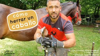 ► Como herrar un caballo 🐴 por los herradores Fernando Pérez Castañeda y Javier Buenaga [upl. by Merline]