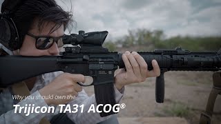 Why you should own the TRIJICON ACOG [upl. by Orva]