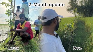 Tree planting journey part 2 Incredible growth after 3 Months [upl. by Ettezyl]