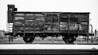 Viewer Discretion Is Advised Some of the MOST Emotional Photos I have ever taken from Auschwitz [upl. by Templas]