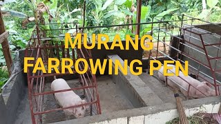 Murang Pagpapagawa ng Farrowing Pen Year 2022 [upl. by Remmus]