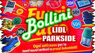 BOLLINI LIDL PARKSIDE [upl. by Wyatan]