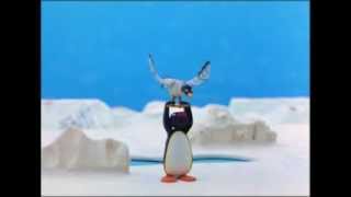 Pingu And The Seagul  Pingu Official Channel [upl. by Aylad560]