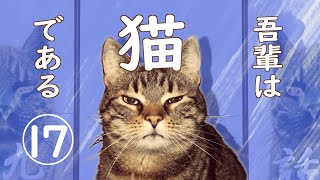 【朗読】吾輩は猫である17／夏目漱石 [upl. by Derej593]