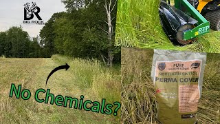 Planting Switchgrass with NO Chemicals Will this work [upl. by Certie]