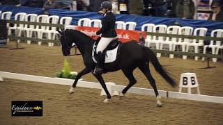 Jade Struthers  Dalriada Novice Freestyle Gold [upl. by Noitna]