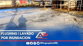 Flushing  Lavado de Tambos por Inundación  Argenplast SRL [upl. by Anallij]