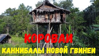 Part 1 The Cannibals of New Guinea Korowai Каннибалы Новой Гвинеи Короваи [upl. by Rochkind]