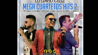 MEGA CUARTETOS HITS 2  DJ DAVID CELIZ  Galamixer 106 [upl. by Anoit]