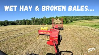 Small Square Baling 1st Cut Hay 2024 [upl. by Nylqcaj]