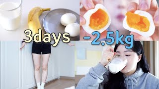 Diet｜🔥3일동안 25kg｜단기간 다이어트 feat전효성님 다이어트 [upl. by Analiese220]