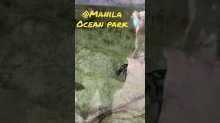 MANILA OCEAN PARK 11 [upl. by Spears]