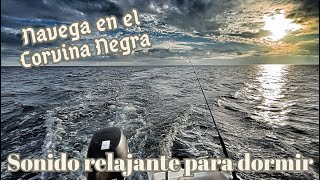 🎧 Sonido RELAJANTE a bordo del CoRViNa NeGRa para dormir o relajarse ⛵⚓ [upl. by Thamos]