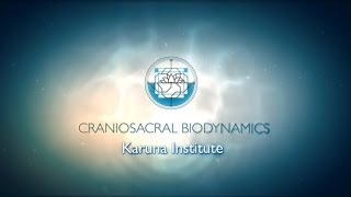 An introduction to Craniosacral Biodynamics [upl. by Fontana]