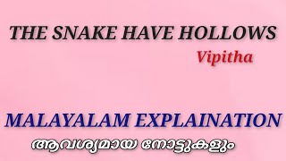 The Snake have Hollows Vipitha  Malayalam Explanation Malayalam Literature in Translation [upl. by Sami864]