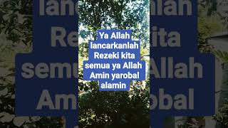 Sholawat jibril penarik rezeki sholawat sholawatjibril dakwah islamic [upl. by Repinuj328]