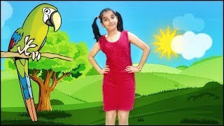 मैं तोता मैं तोता  Main Tota Main Tota  hindi rhymes  hindi poem  kids song hindipoem4kidz [upl. by Vincenz380]