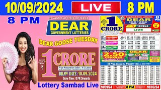 Nagaland Lottery Sambad Live 8pm 10092024  Lottery Live [upl. by Flora]