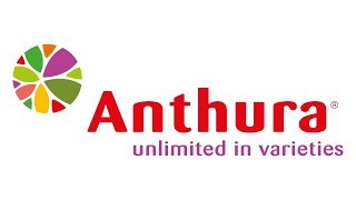 Anthura corporate video 2019 Spanish [upl. by Scevour]