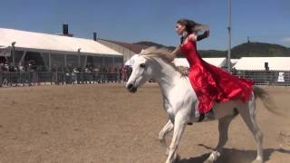 spectacle équestre monte en liberté  au collier et travail à pied [upl. by Annayad]