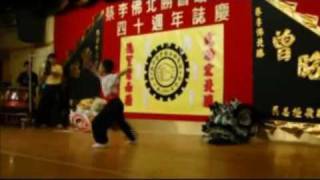 鴻勝蔡李佛 Hung Sing Choy Lee Fut [upl. by Flora]