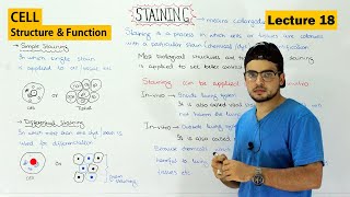 Staining technique in Cell biology  Simple and differential staining  Video 19 [upl. by Inamik]